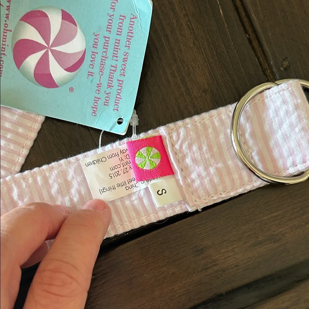 Mint Pink and White Seersucker Belt with Silver Rings